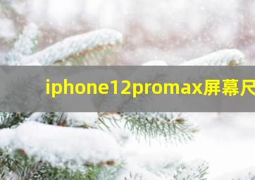 iphone12promax屏幕尺寸