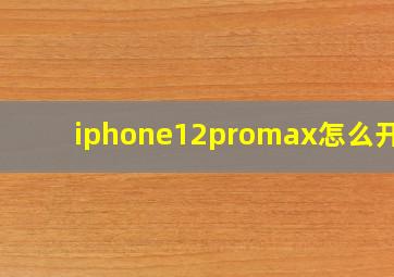 iphone12promax怎么开5g