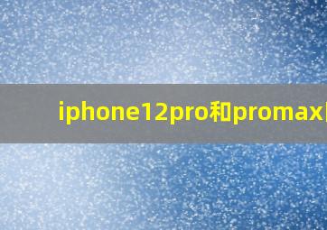 iphone12pro和promax区别