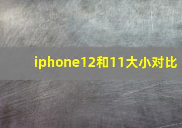 iphone12和11大小对比