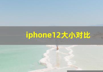 iphone12大小对比