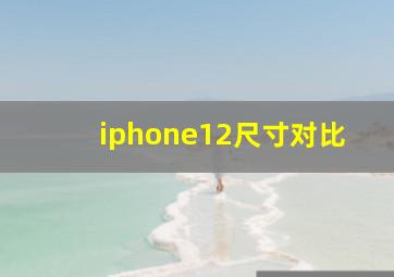 iphone12尺寸对比