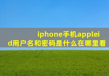 iphone手机appleid用户名和密码是什么在哪里看