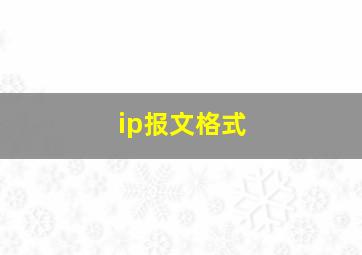 ip报文格式