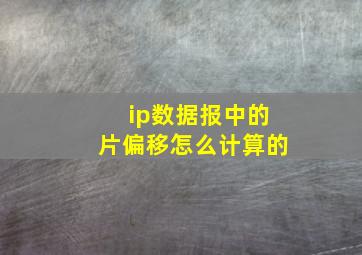 ip数据报中的片偏移怎么计算的(