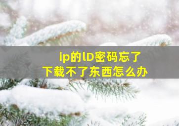 ip的lD密码忘了下载不了东西怎么办(