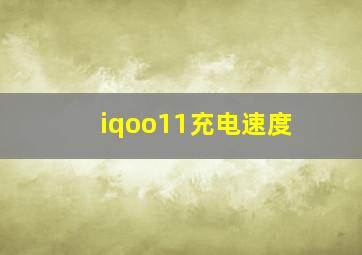 iqoo11充电速度