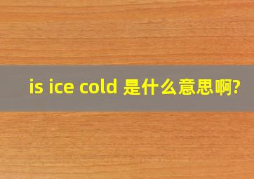is ice cold 是什么意思啊?