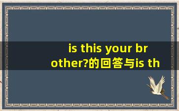 is this your brother?的回答与is this girl your