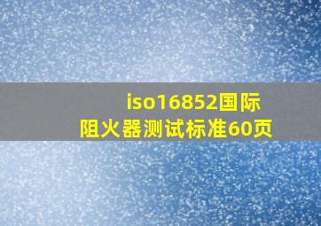 iso16852国际阻火器测试标准(60页)