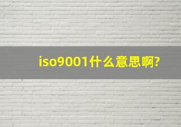 iso9001什么意思啊?