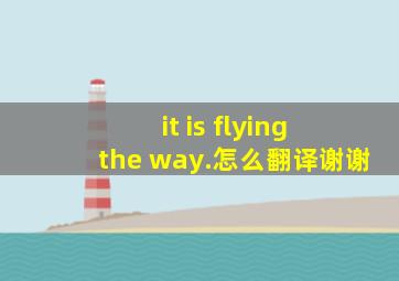 it is flying the way.怎么翻译,谢谢