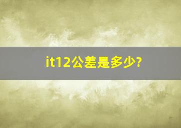 it12公差是多少?