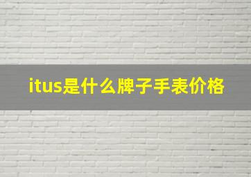 itus是什么牌子手表价格(