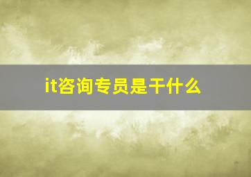 it咨询专员是干什么