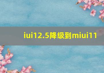 iui12.5降级到miui11(