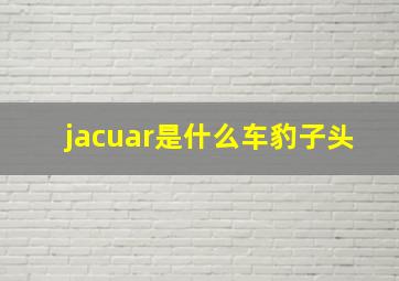 jacuar是什么车豹子头