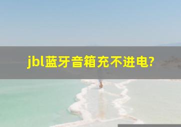 jbl蓝牙音箱充不进电?