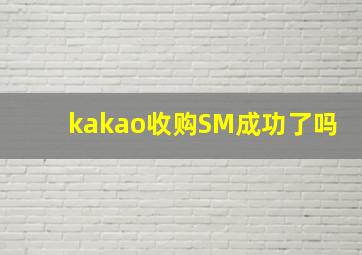 kakao收购SM成功了吗