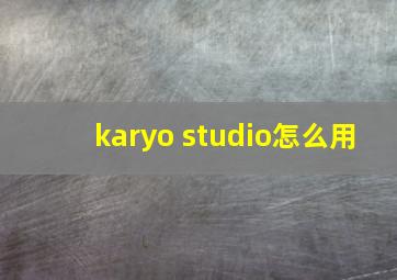 karyo studio怎么用