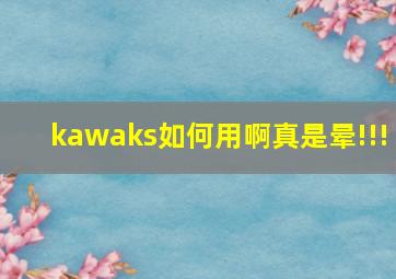 kawaks如何用啊(真是晕!!!