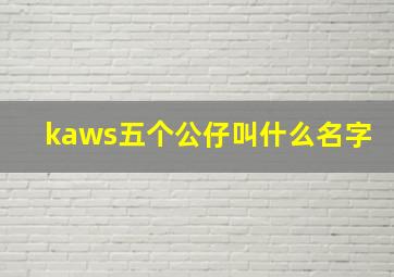 kaws五个公仔叫什么名字(