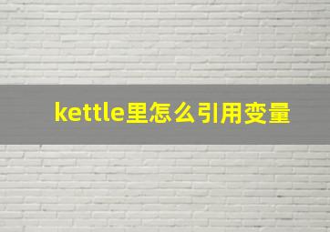 kettle里怎么引用变量