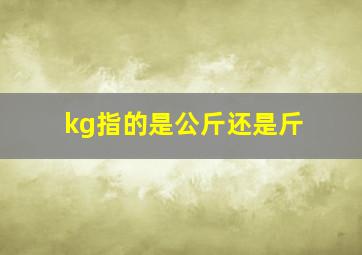 kg指的是公斤还是斤