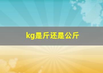 kg是斤还是公斤