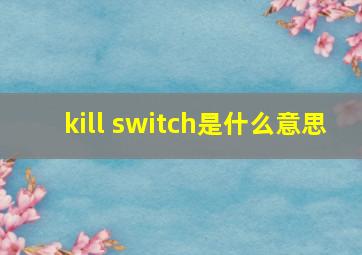kill switch是什么意思