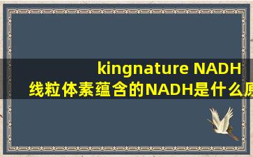 kingnature NADH线粒体素蕴含的NADH是什么原理呢?