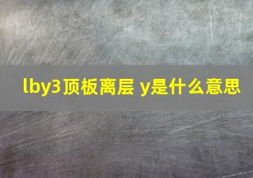 lby3顶板离层 y是什么意思