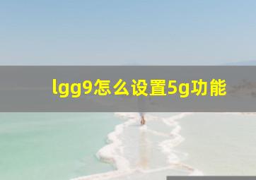 lgg9怎么设置5g功能