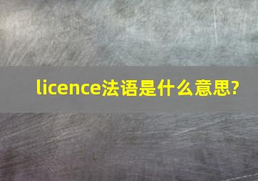 licence法语是什么意思?