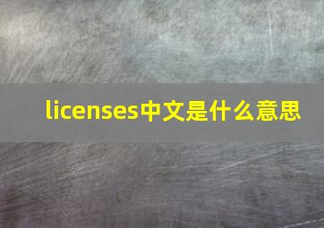 licenses中文是什么意思