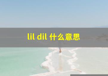 lil dil 什么意思