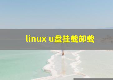linux u盘挂载卸载