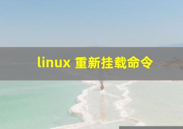 linux 重新挂载命令