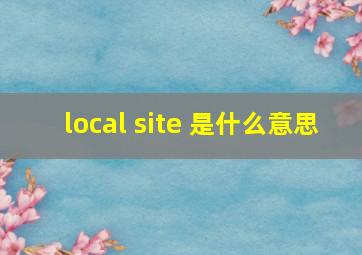 local site 是什么意思