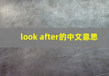 look after的中文意思