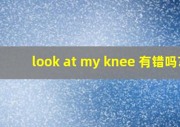 look at my knee 有错吗?