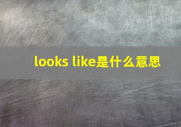 looks like是什么意思