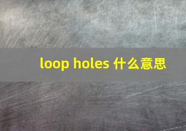 loop holes 什么意思