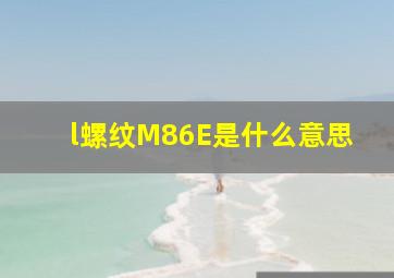 l螺纹M86E是什么意思