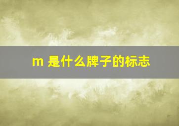 m 是什么牌子的标志