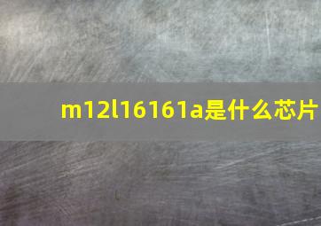 m12l16161a是什么芯片