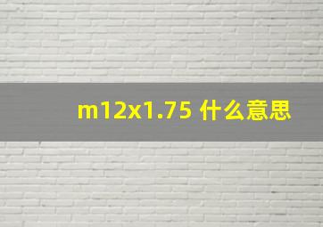 m12x1.75 什么意思