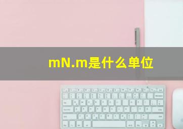 mN.m是什么单位