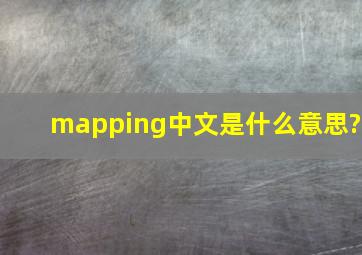 mapping中文是什么意思?