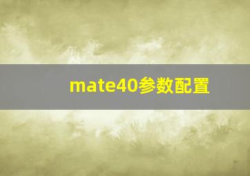 mate40参数配置